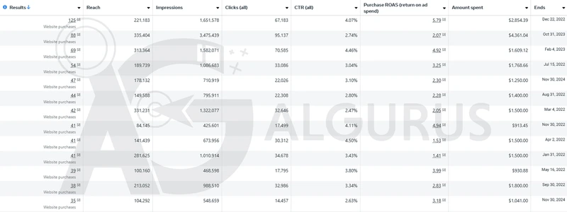 جدول Meta Ads Manager لـ13 حملة مبيعات انتهت بين يناير 2022 ونوفمبر 2024: 704 عمليات شراء من الموقع إجمالاً، بنسب نقر بين 2.47% و4.50% وعائد يصل إلى 5.79.