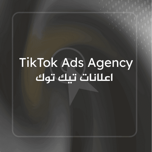 TikTok Ads Agency