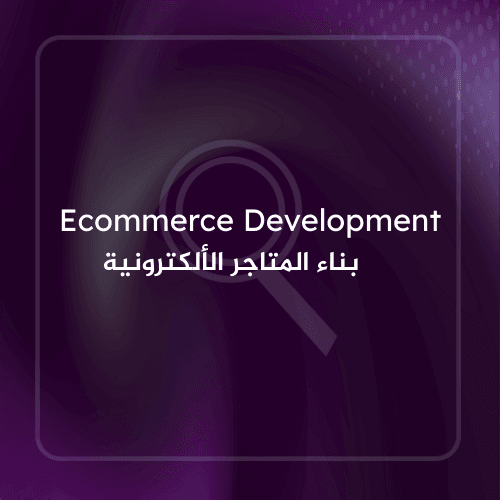 Ecommerce Development