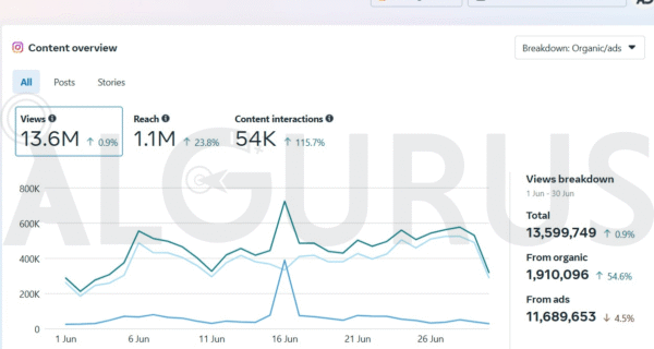 Instagram Management for a Luxury Restaurant in Amman