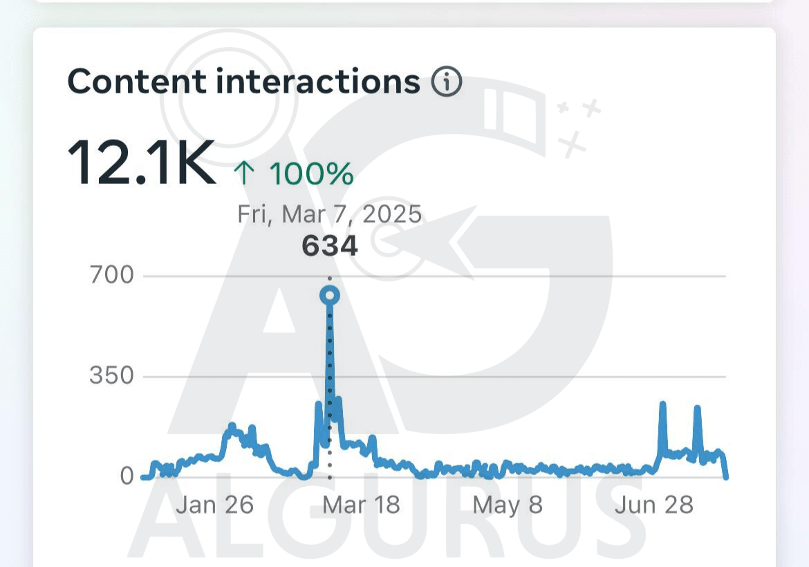 Management Strategy for Instagram Accounts in Jordan
