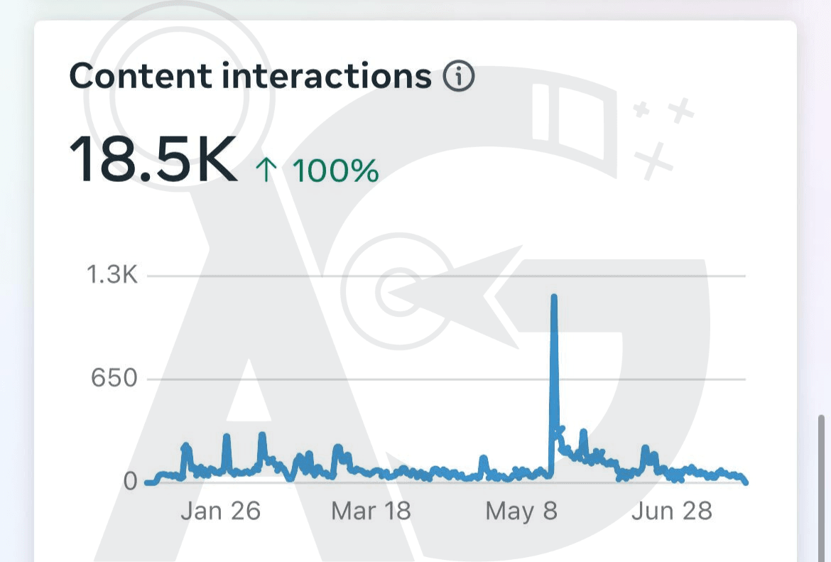 Management Strategy for Instagram Accounts in Jordan